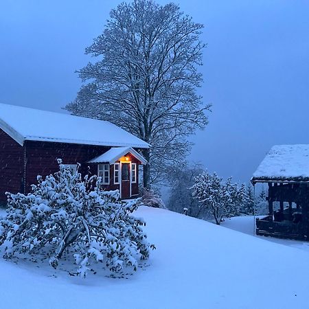 « Sofly Cottage », Le Charme Pur Noresund Exteriér fotografie
