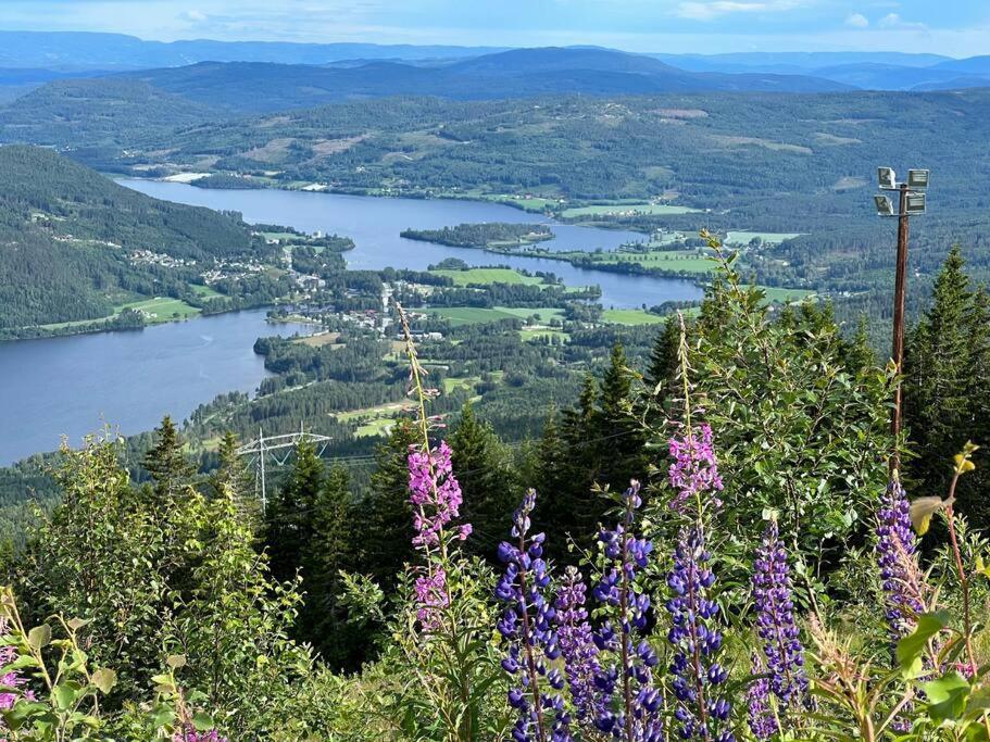 « Sofly Cottage », Le Charme Pur Noresund Exteriér fotografie