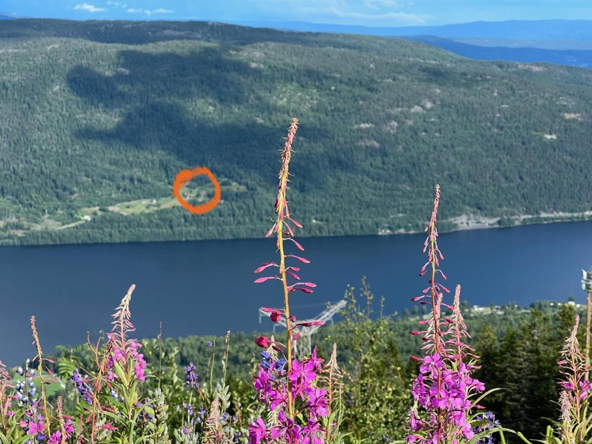 « Sofly Cottage », Le Charme Pur Noresund Exteriér fotografie